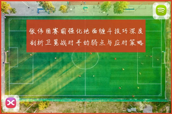 张伟丽赛前强化地面缠斗技巧深度剖析卫冕战对手的弱点与应对策略